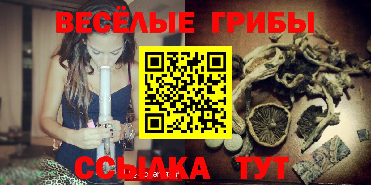 Галлюциногенные грибы Psilocybe  Псилоцибиновые грибы Psilocybine cubensis  Вход с VPN  Кириши 