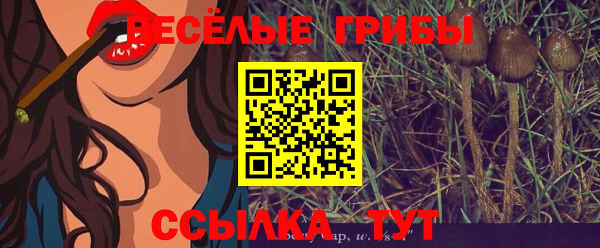 Галлюциногенные грибы ЛСД Кириши